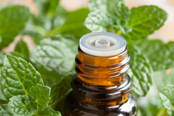 Peppermint essential oil - a bottle with fresh mint leaves - Photo, Image
