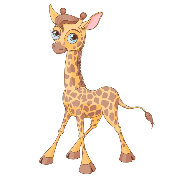 little cute giraffe calf - Vektör, Görsel