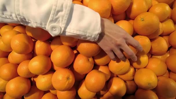 henkilö ostaa appelsiineja markkinoilla. Käsi lähikuva
. - Materiaali, video