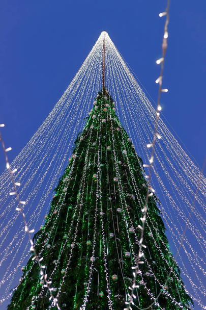Vánoční stromeček, věnce, které jsou nainstalovány ve Vilniusu v Litvě - Fotografie, Obrázek