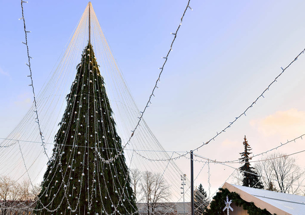 Різдвяна ялинка з прикраса, встановлений у Вільнюсі на заході сонця - Фото, зображення