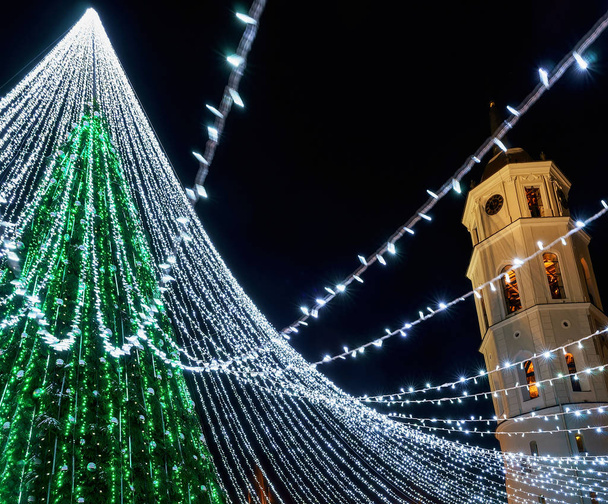 Kerstboom en kathedraal Belfort in Vilnius - Foto, afbeelding