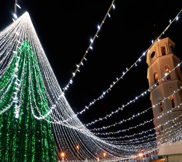 Vánoční strom a katedrála zvonice v Vilnius Litva - Fotografie, Obrázek