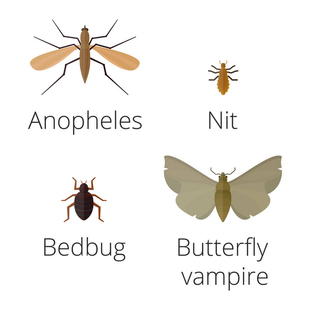 Барвисті комахи ікони ізольовані крила дикої природи деталі літнього черв'яка гусениці жуки дикі Векторні ілюстрації
. - Вектор, зображення