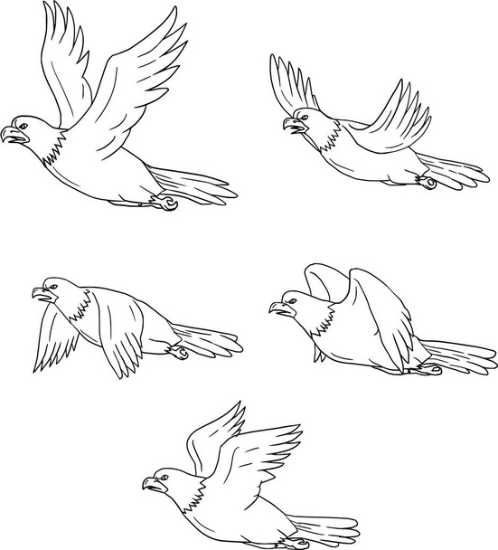 Conjunto de Coleção de Desenhos Animados Lado Voador Águia
 - Vetor, Imagem