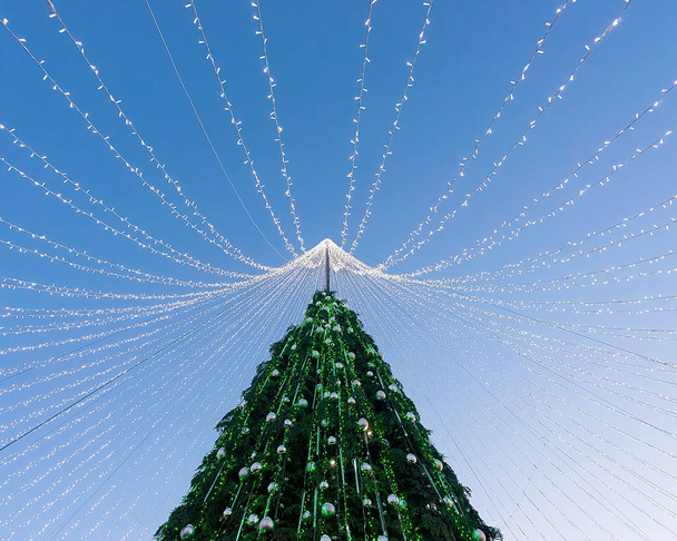 Noel ağacı Vilnius Square'de Advent sırasında yüklü - Fotoğraf, Görsel