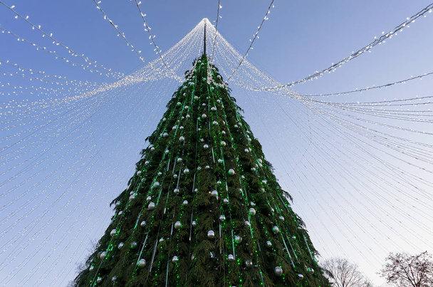 Vilnius akşam yüklü çelenk ile Noel ağacı - Fotoğraf, Görsel