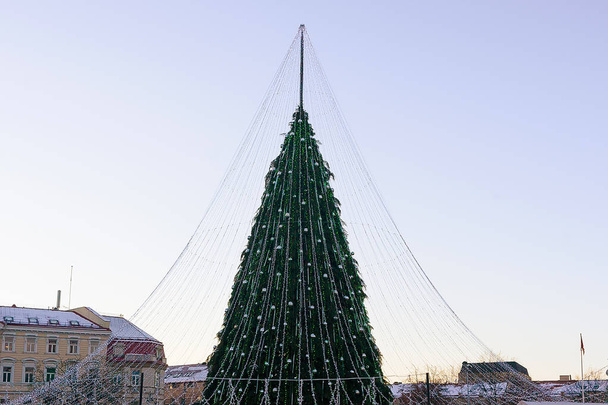 Χριστουγεννιάτικο δέντρο έλευση Βίλνιους Λιθουανίας - Φωτογραφία, εικόνα