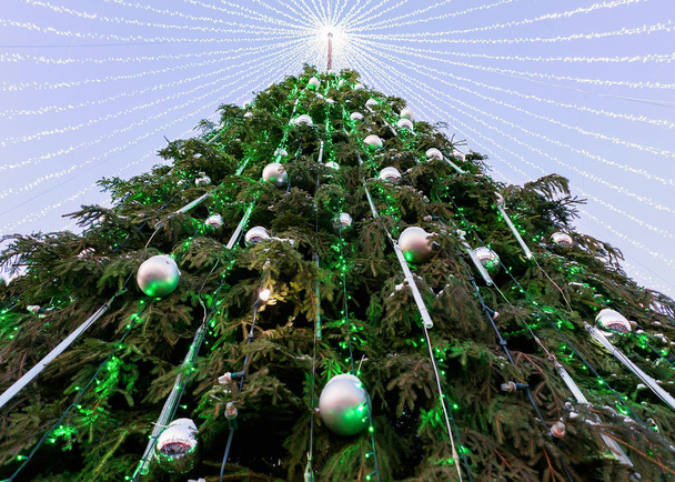 Різдвяна ялинка з гірлянди, встановлений у Вільнюсі у вечорі - Фото, зображення