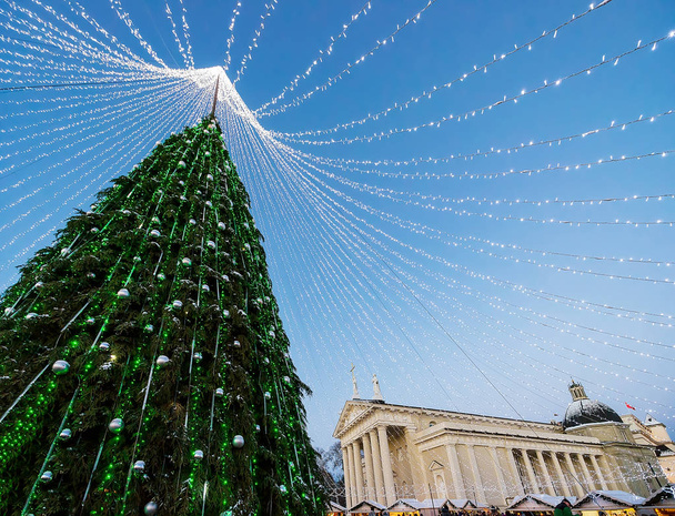 Vánoční strom a zvonice katedrály v Vilnius Advent - Fotografie, Obrázek