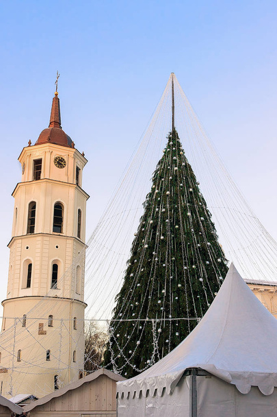 クリスマス ツリーと大聖堂の鐘塔リトアニア ヴィリニュス出現 - 写真・画像