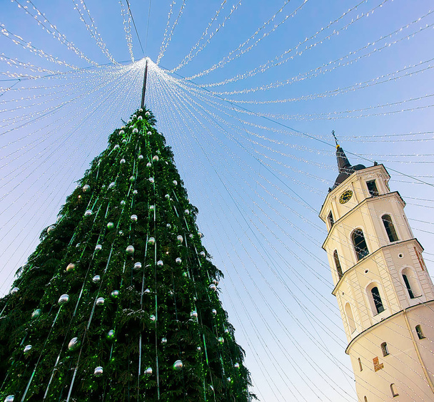 Χριστουγεννιάτικο δέντρο και τον καθεδρικό ναό της bell tower έλευση Βίλνιους Λιθουανίας βράδυ - Φωτογραφία, εικόνα