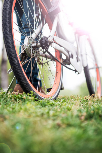 rower na trawie - Zdjęcie, obraz