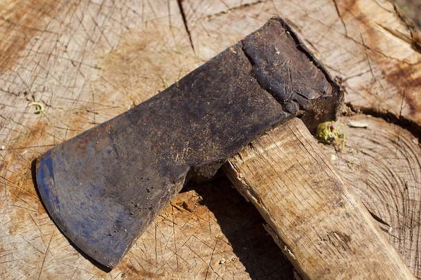Old rusty ax - Foto, Bild