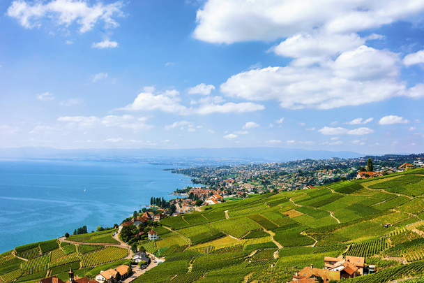 Szwajcarskie domki w pobliżu taras winnicę Lavaux pieszej szlak Szwajcaria - Zdjęcie, obraz