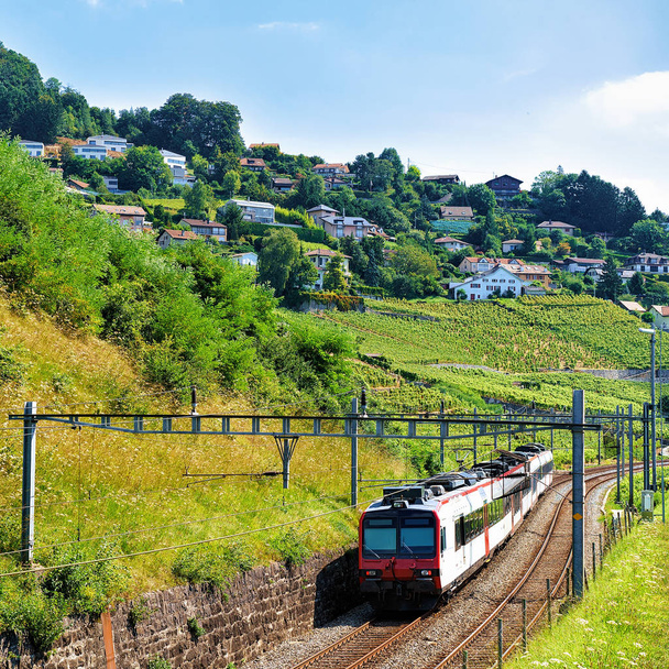 Running train at Lavaux Vineyard Terrace hiking trail Swiss - Fotografie, Obrázek