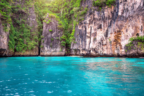Isla Phi Phi, Krabi Tailandia
. - Foto, imagen