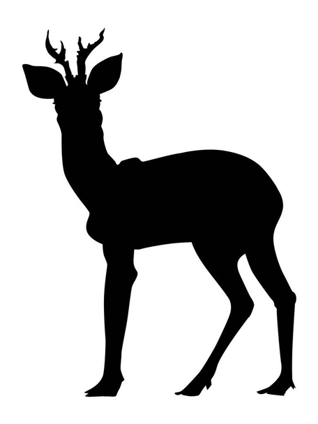 силует оленя
 - Вектор, зображення
