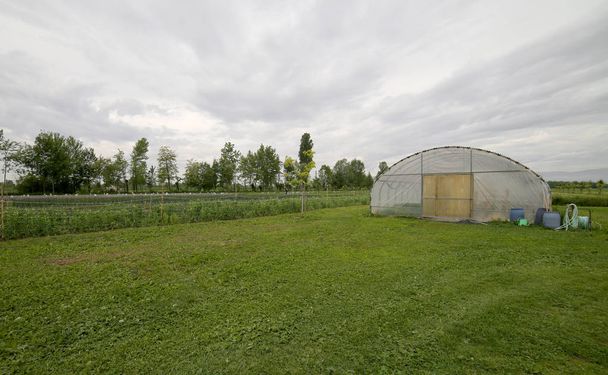 Velký skleník pro pěstování zeleniny - Fotografie, Obrázek