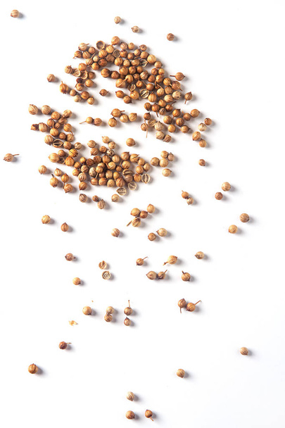Spices for meat dishes and baking. Whole coriander seeds. White  - Fotografie, Obrázek