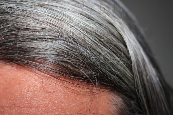 灰色の髪の男性 - 写真・画像