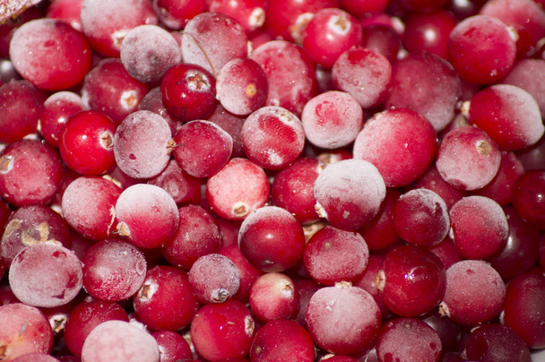 Cranberry in the frost - Foto, imagen