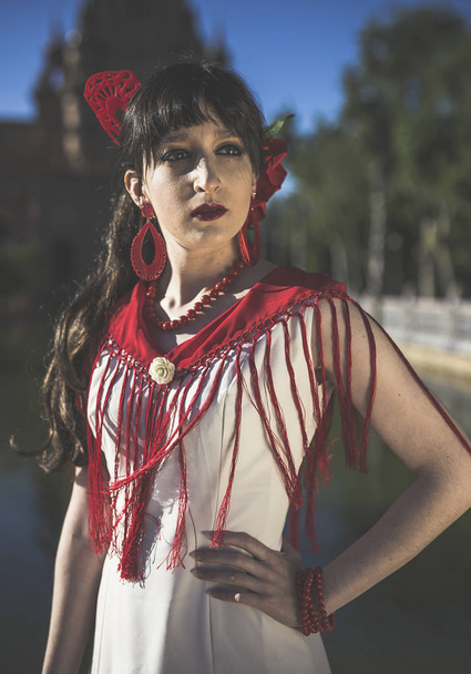 Jovem elegância dançarina de flamenco
  - Foto, Imagem