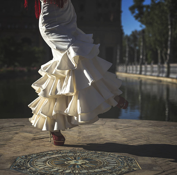 Young elegance flamenco dancer  - Fotó, kép