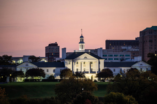 リッチモンド バージニアの政府の建物 - 写真・画像
