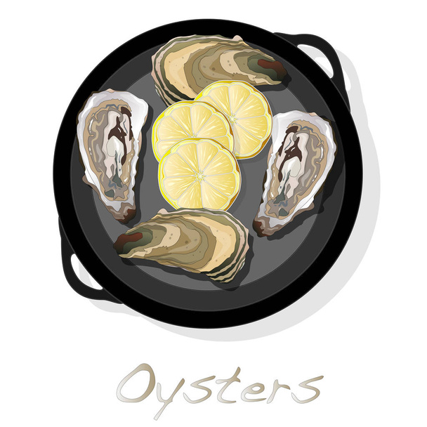 Verse oesters afbeelding instellen - Vector, afbeelding
