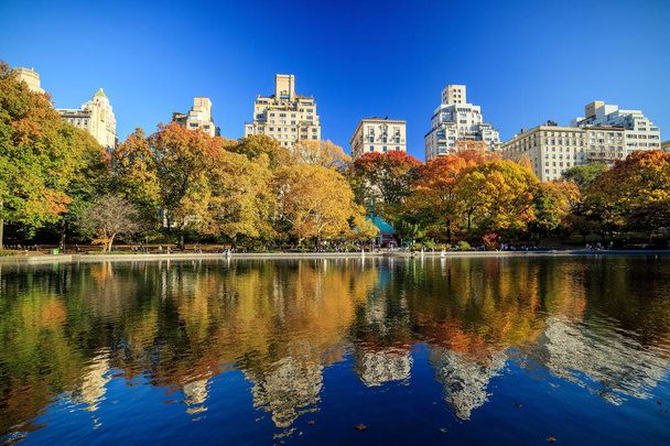 秋の中央公園 - 写真・画像