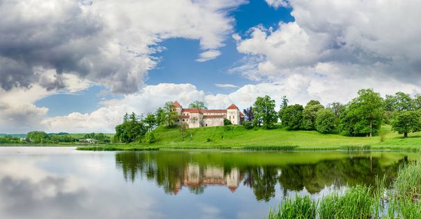 Svirzh kasteel op lake bank in Lviv region, Oekraïne - Foto, afbeelding