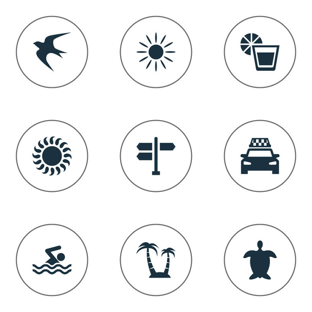 Vector Illustration Set Of Simple Seaside Icons. Elements Hot, Tortoise, Sunlight And Other Synonyms Drink, Cab And Direction. - Vector, Image