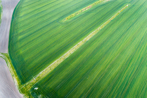 Система орошения на пшеничном поле
 - Фото, изображение