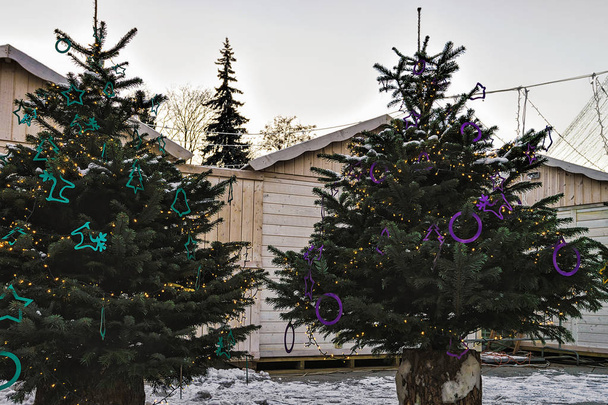 Christmas trees market with main Xmas tree in Vilnius - Photo, Image