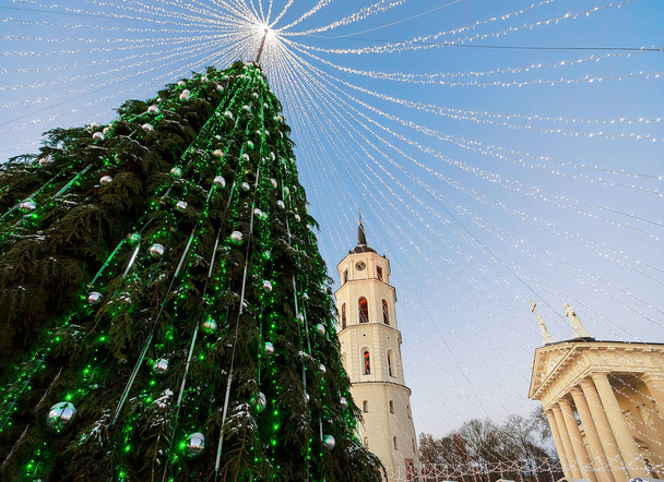 Choinka i dzwonnica katedry w Wilno Litwa Adwent - Zdjęcie, obraz
