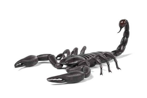 realistico rendering 3d di scorpione nero
 - Foto, immagini