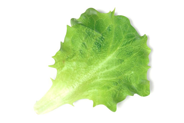 реалістичний 3d візуалізація салату на білому фоні
 - Фото, зображення