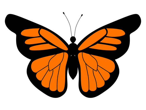 Vektori esimerkki monarkki perhonen
 - Vektori, kuva