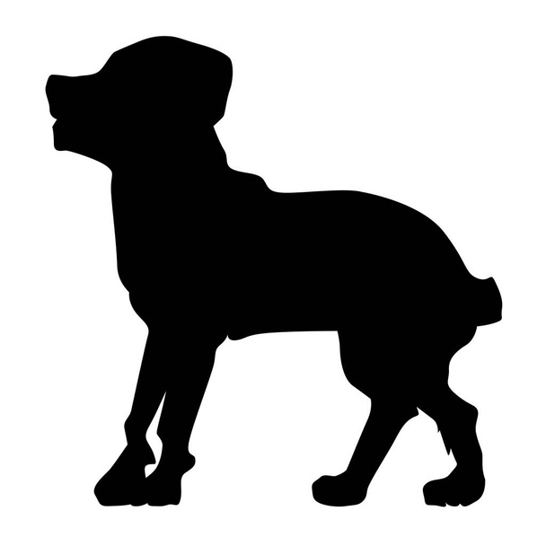silhouette of rottweiler - Vector, Image