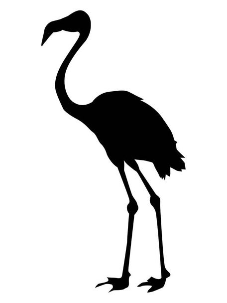 silhouette of flamingo - Wektor, obraz