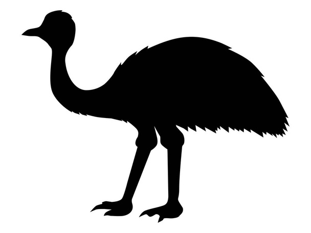 silhouette of ostrich emu - Vector, Image