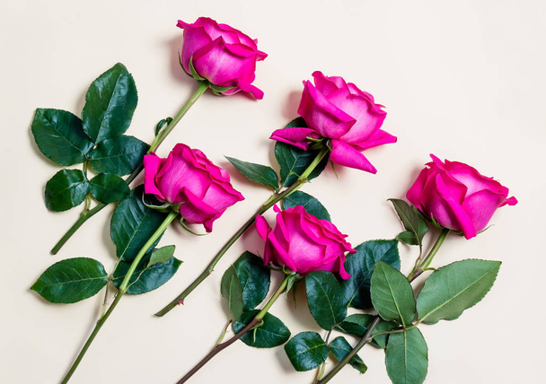 Beautiful roses on beige background - Фото, зображення