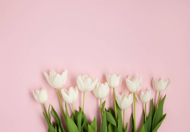 white tender tulips on pink surface - Valokuva, kuva