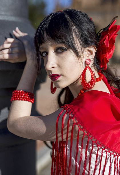 Young elegance flamenco dancer  - Φωτογραφία, εικόνα