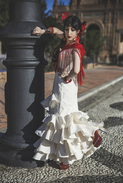 Young elegance flamenco dancer  - Foto, imagen