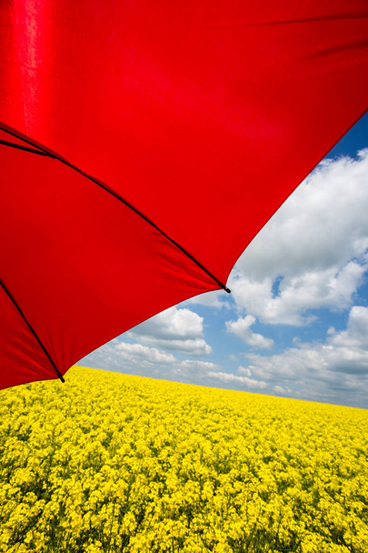 Kırmızı şemsiye ile tecavüz alan - Fotoğraf, Görsel