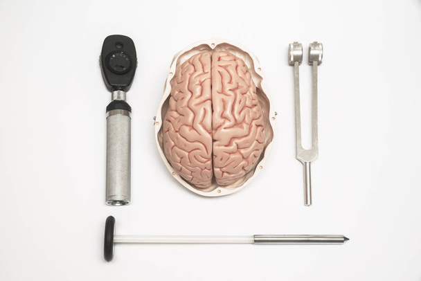 Мозговая модель и неврологическое оборудование
 - Фото, изображение