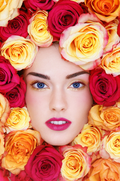 Beauty in roses - Fotó, kép