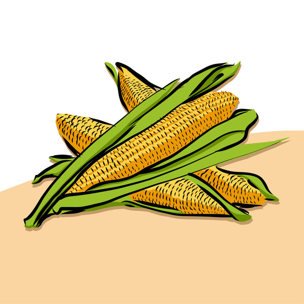 Colored Corn Vector Artwork - Vector, Image